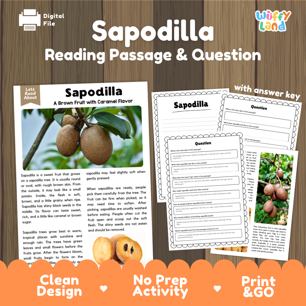 Sapodilla reading comprehension passage and questions printable activity pack with answer key for elementary students