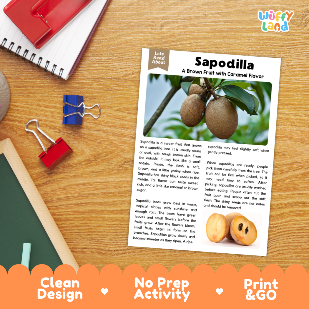 Student reading comprehension worksheet with short-answer questions and lined sections about the sapodilla fruit