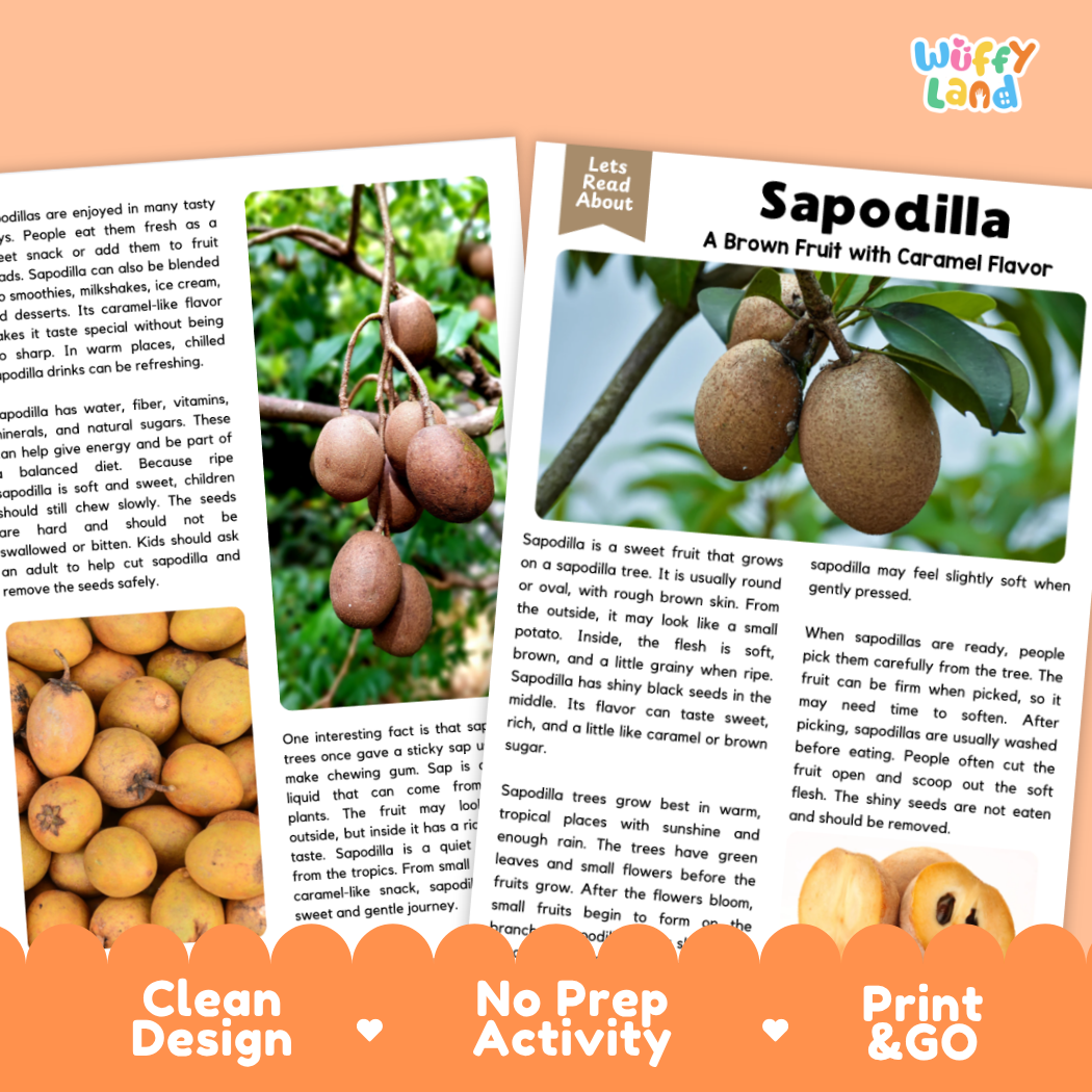 Teacher answer key page showing complete question solutions for Sapodilla nature and science reading comprehension practice