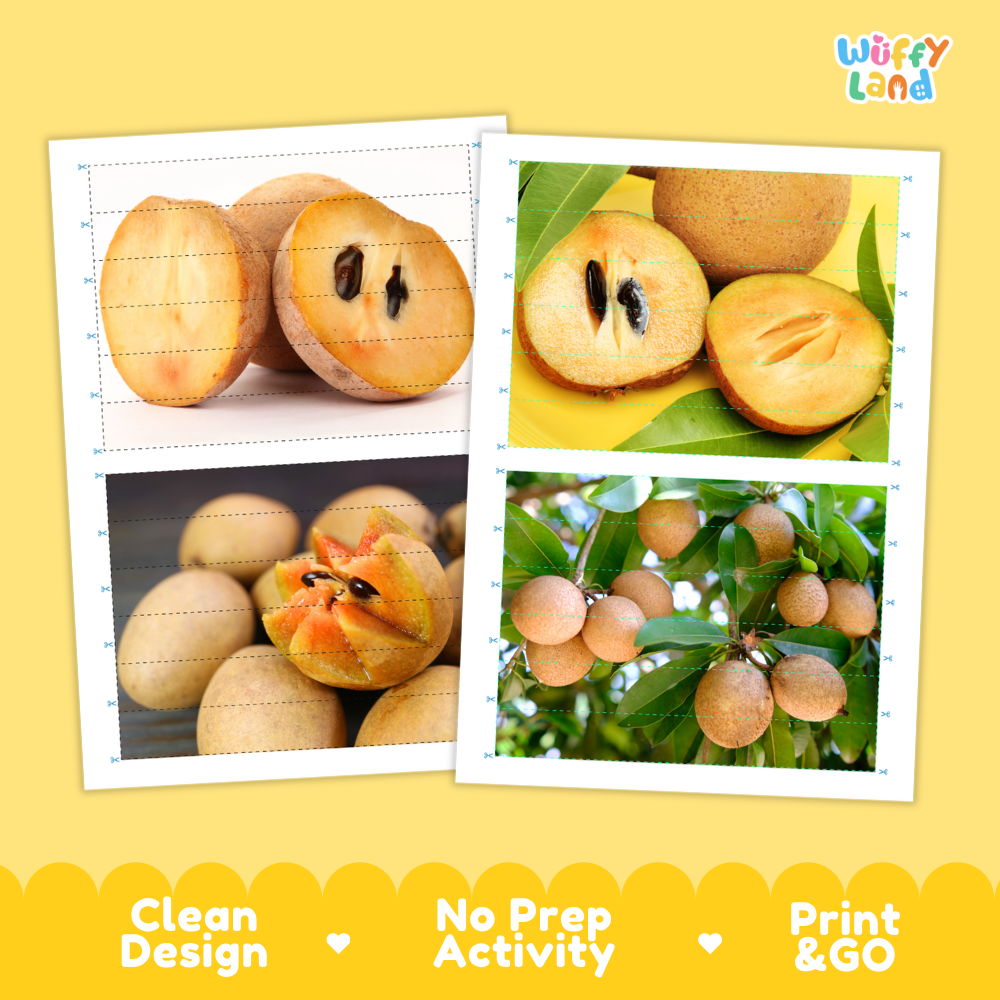 Printable activity sheets featuring photographic sapodilla puzzle boards and cutting guides