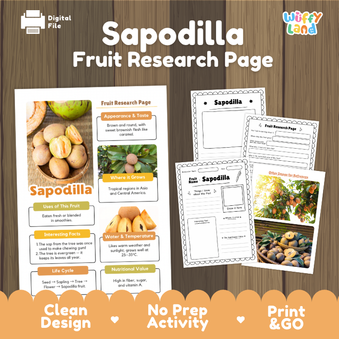 Sapodilla Fruit Research Page Worksheets and Fact Sheet