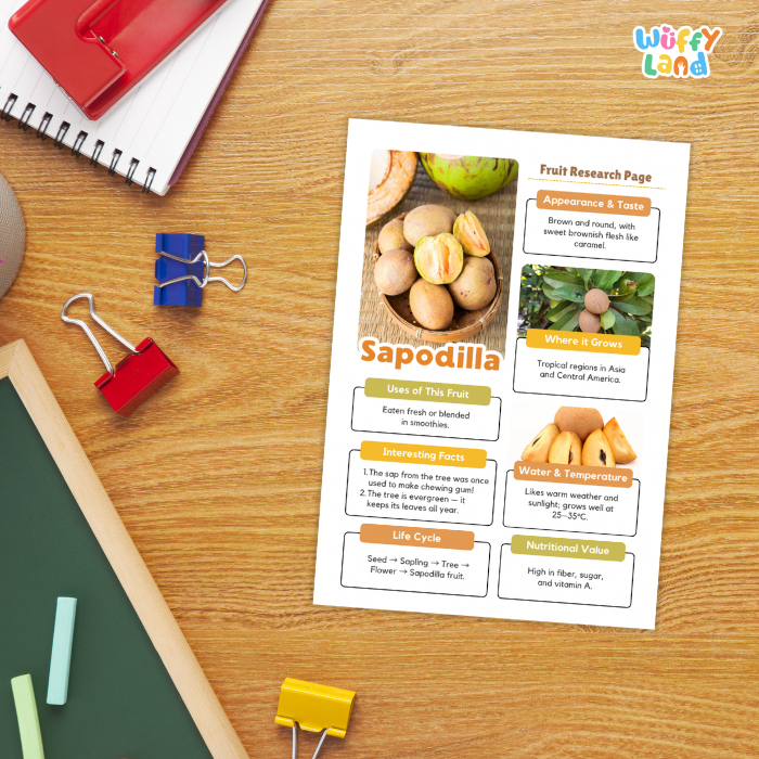 Sapodilla Fruit Research Page Worksheets and Fact Sheet