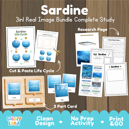 Sardine 3-in-1 real image bundle complete study cover showing cut and paste life cycle, 3 part cards, and research pages