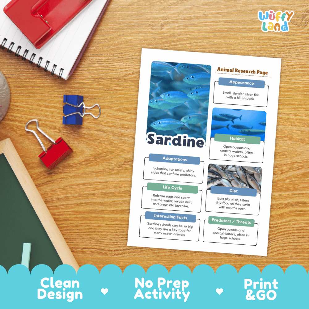 Sardine Animal Research Project Worksheets and Fact Sheet Activity