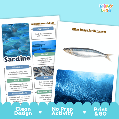 Sardine Animal Research Project Worksheets and Fact Sheet Activity
