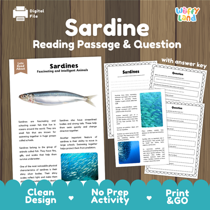 Sardine Reading Passage and Comprehension Questions with Answer Key Worksheets