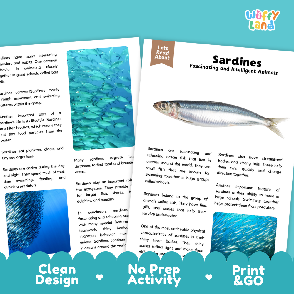 A children's educational activity sheet from 'Wuffify Land' titled 'Sardines Fascinating and Intelligent Animals'. The page features a blue header with the title, a small color photo of a live sardine, a text box with facts, and a blue 'Clean Design No Prep Activity Print & Go' footer.