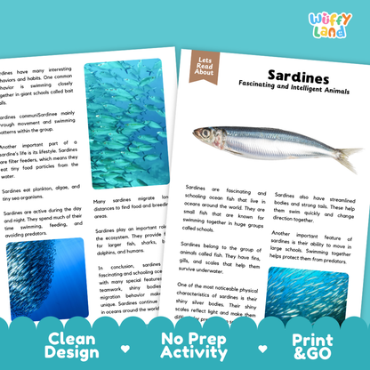 A children's educational activity sheet from 'Wuffify Land' titled 'Sardines Fascinating and Intelligent Animals'. The page features a blue header with the title, a small color photo of a live sardine, a text box with facts, and a blue 'Clean Design No Prep Activity Print & Go' footer.