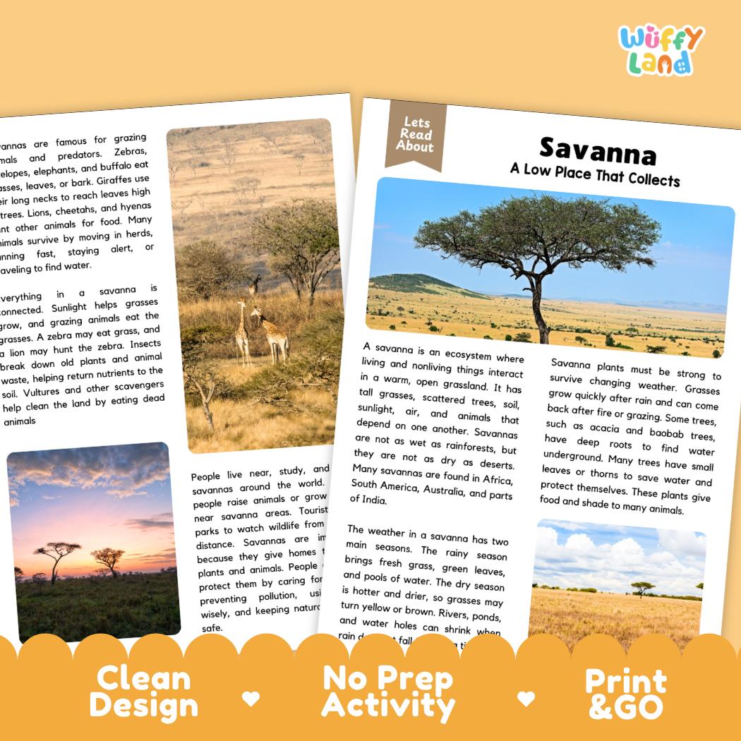 Teacher answer key page showing complete question solutions for savanna reading comprehension practice