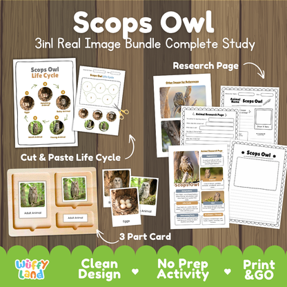 Scops owl 3-in-1 real image bundle complete study cover showing cut and paste life cycle, 3 part cards, and research pages
