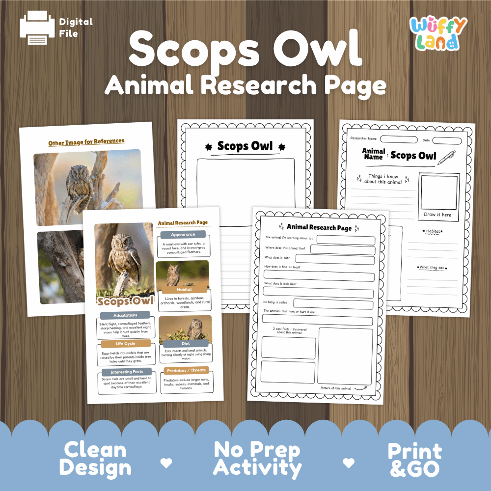 Scops Owl Animal Research Worksheets and Informational Fact Sheets
