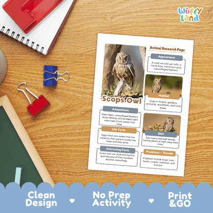 Scops Owl Animal Research Worksheets and Informational Fact Sheets