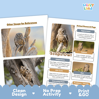 Scops Owl Animal Research Worksheets and Informational Fact Sheets