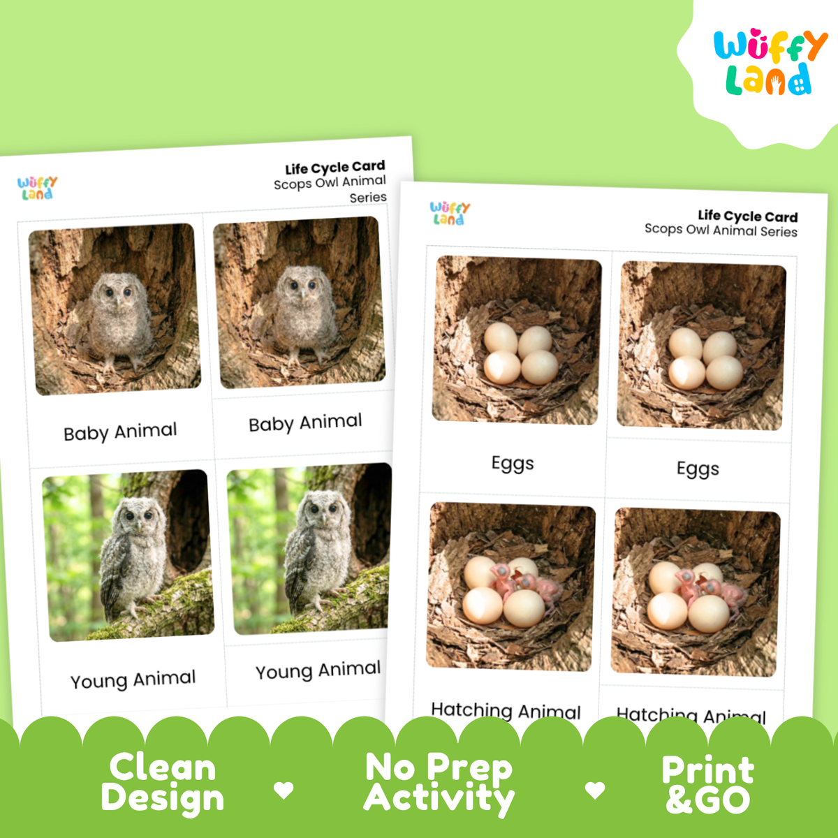 Two printed owl life cycle cards shown on a bright green background. The cards feature labeled photos of baby animals, eggs, and a young owl in a tree hollow, with text including 'Life Cycle Card,' 'Scope Owl Animal,' 'Baby Animal,' 'Eggs,' 'Hatching Animal,' and 'Print & GO.