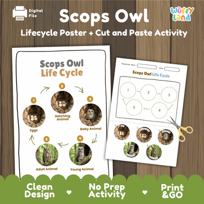 Scops Owl Life Cycle Poster and Cut and Paste Worksheet Activity