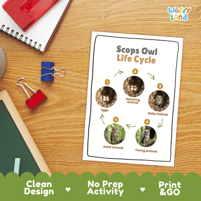Scops Owl Life Cycle Poster and Cut and Paste Worksheet Activity
