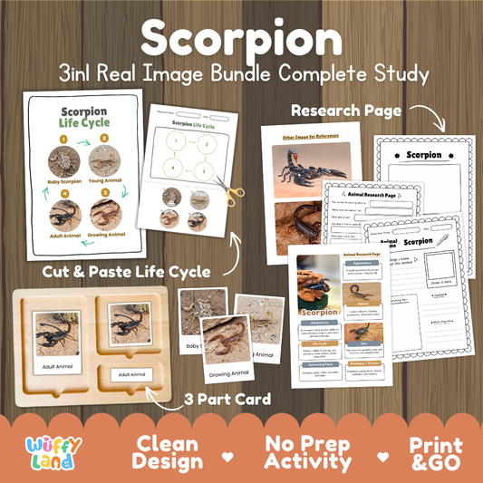 Scorpion 3-in-1 real image bundle complete study cover showing cut and paste life cycle, 3 part cards, and research pages