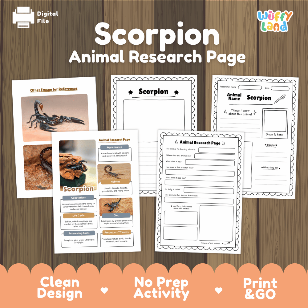 Scorpion Animal Research Page Worksheets and Fact Sheet Activity