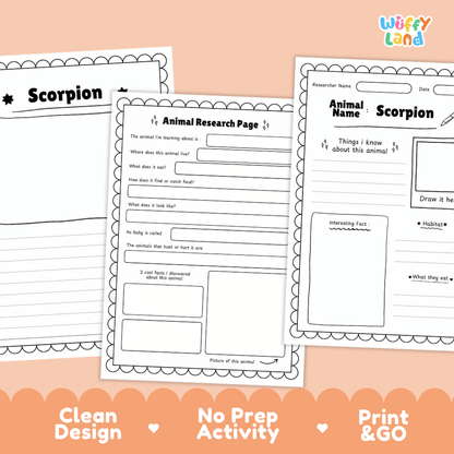 Scorpion Animal Research Page Worksheets and Fact Sheet Activity