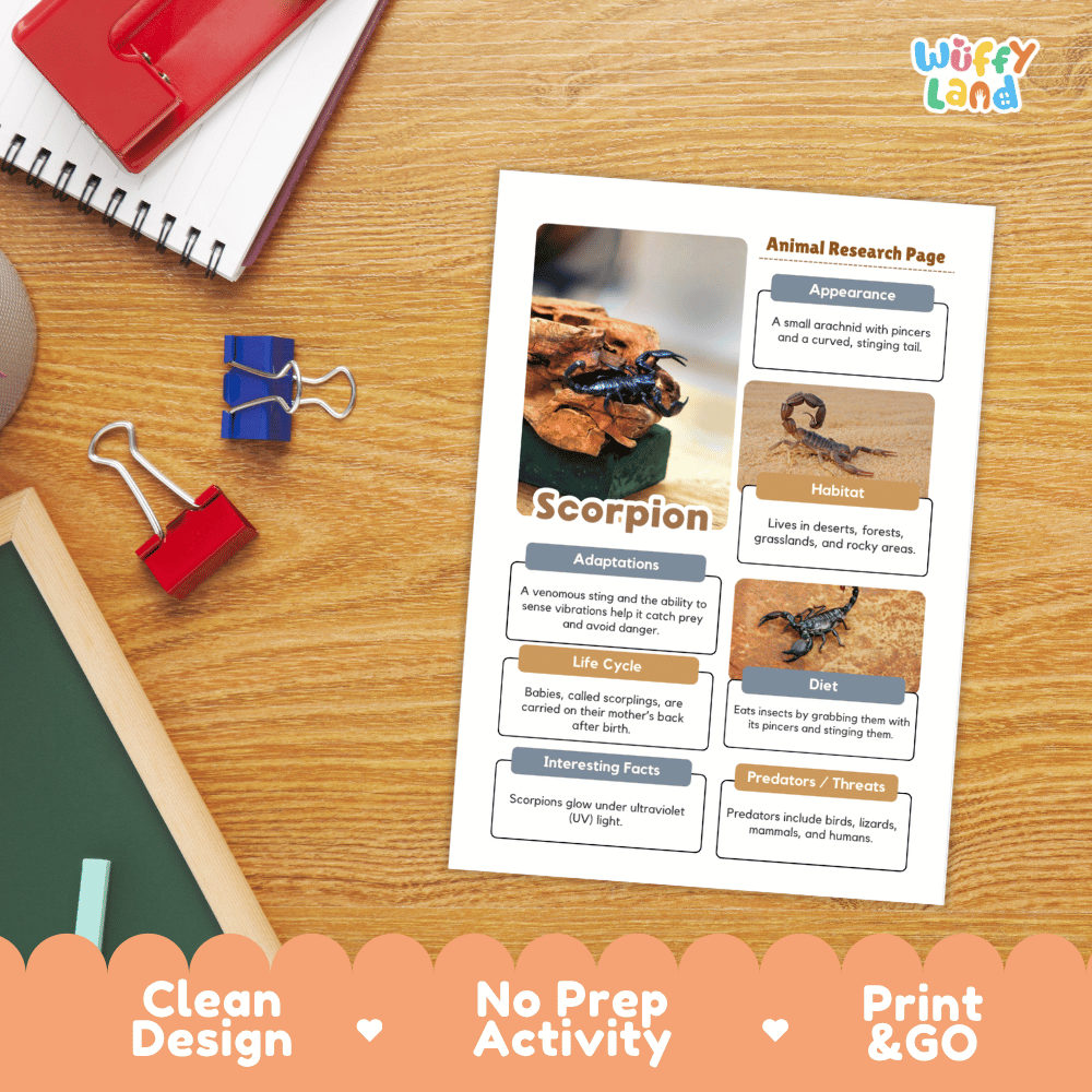 Scorpion Animal Research Page Worksheets and Fact Sheet Activity