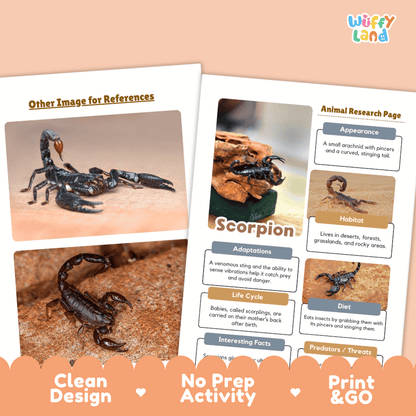 Scorpion Animal Research Page Worksheets and Fact Sheet Activity