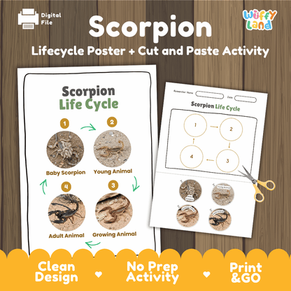 Scorpion Life Cycle Poster and Cut and Paste Activity Worksheets