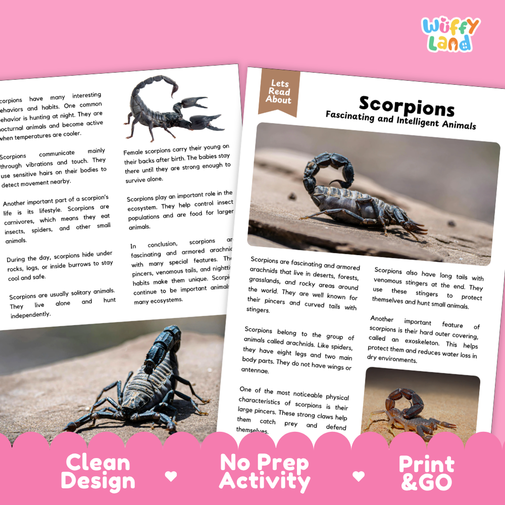 Scorpions Reading Passage and Comprehension Questions Worksheets with Answer Key