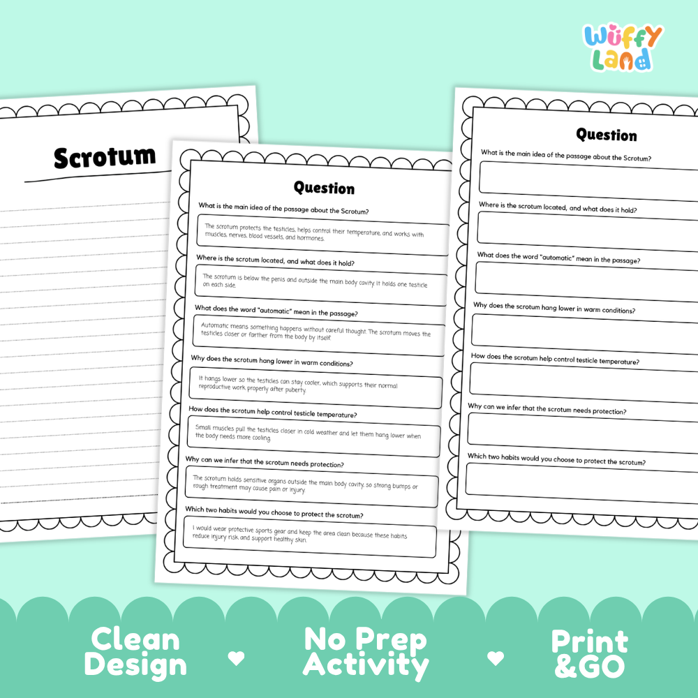 Informational reading passage page detailing the human scrotum male reproductive system temperature regulation testicles and personal safety habits with diagrams