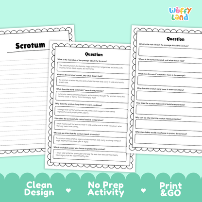 Informational reading passage page detailing the human scrotum male reproductive system temperature regulation testicles and personal safety habits with diagrams