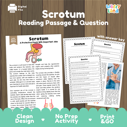 Scrotum reading comprehension passage and questions printable activity pack with answer key for elementary students