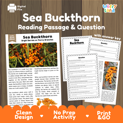 Sea buckthorn reading comprehension passage and questions printable activity pack with answer key for elementary students