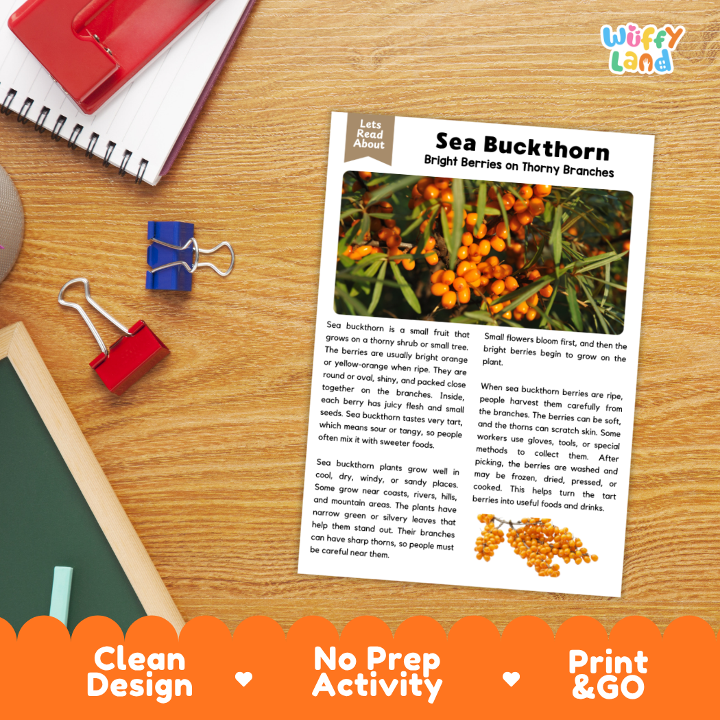 Student reading comprehension worksheet with short-answer questions and lined sections about sea buckthorn berries