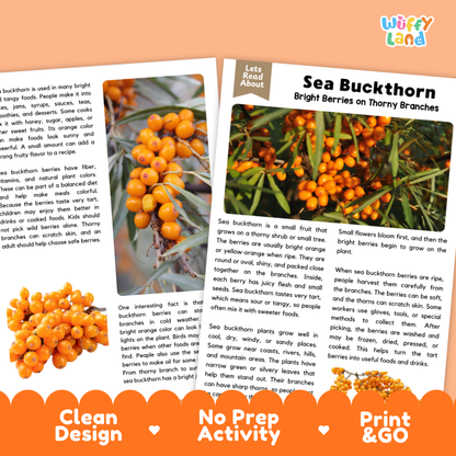 Teacher answer key page showing complete question solutions for sea buckthorn reading comprehension practice