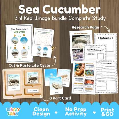 Sea cucumber 3-in-1 real image bundle complete study cover showing cut and paste life cycle, 3 part cards, and research pages