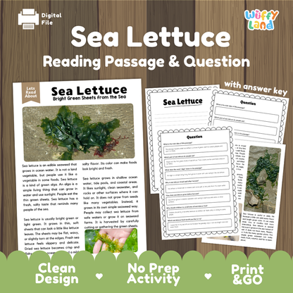 Sea lettuce reading comprehension passage and questions printable activity pack with answer key for elementary students