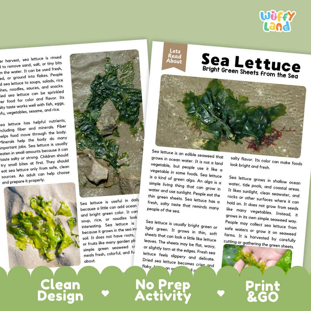 Teacher answer key page showing complete question solutions for sea lettuce reading comprehension practice