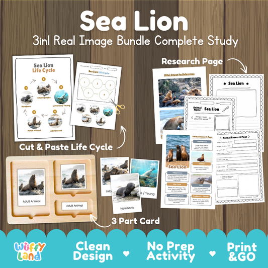 Sea lion 3-in-1 real image bundle complete study cover showing cut and paste life cycle, 3 part cards, and research pages