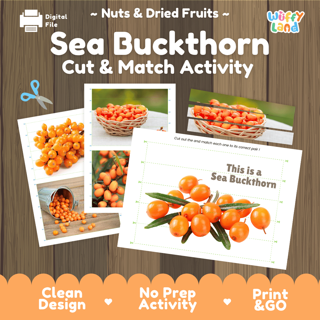 Sea Buckthorn Cut and Match Activity Worksheets | Nuts and Dried Fruits Puzzle Printables