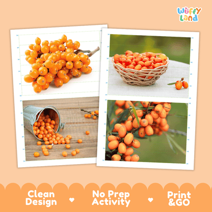Sea Buckthorn Cut and Match Activity Worksheets | Nuts and Dried Fruits Puzzle Printables