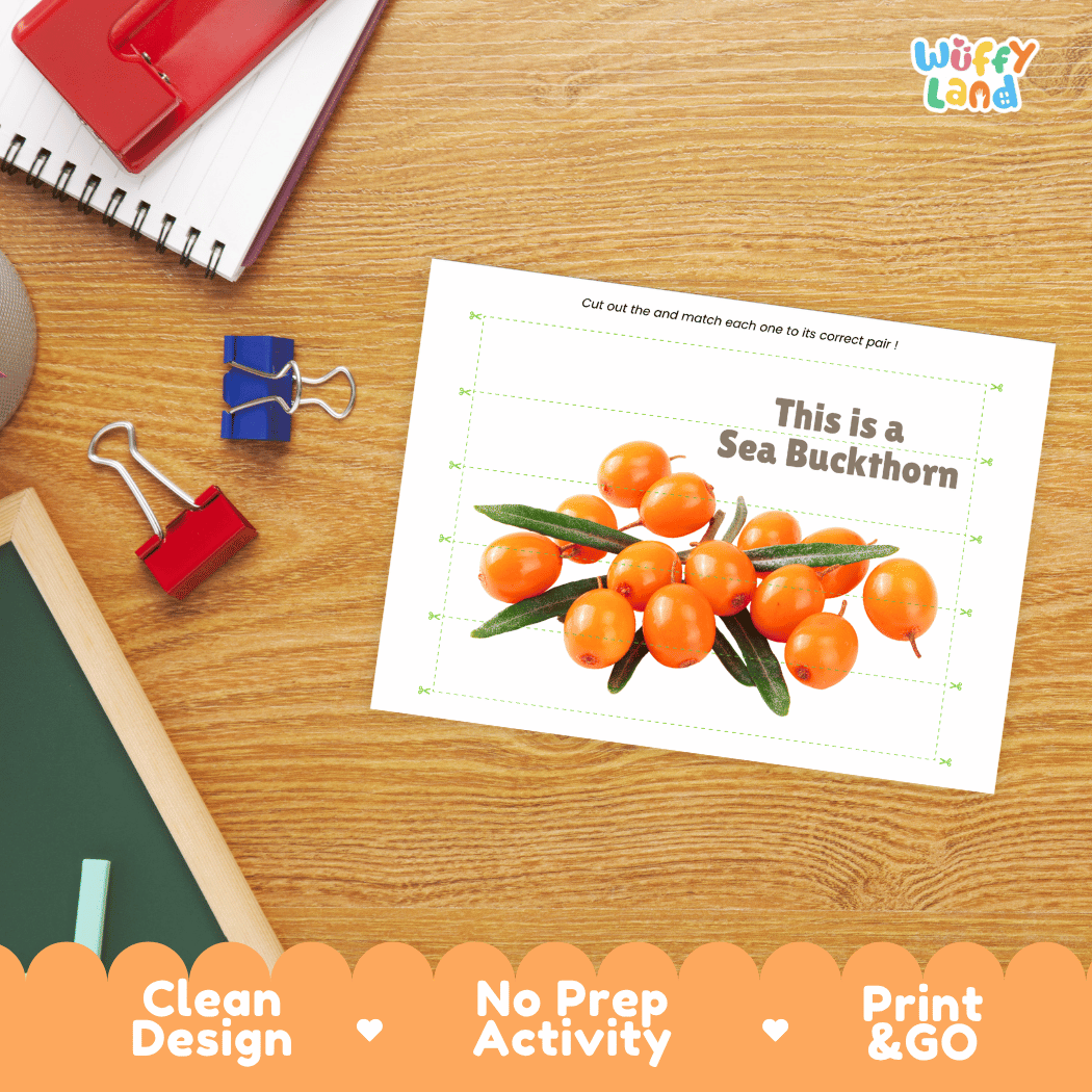 Sea Buckthorn Cut and Match Activity Worksheets | Nuts and Dried Fruits Puzzle Printables