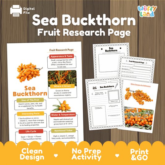 Sea Buckthorn Fruit Research Activity Worksheet Science Superfood Healthy Eating