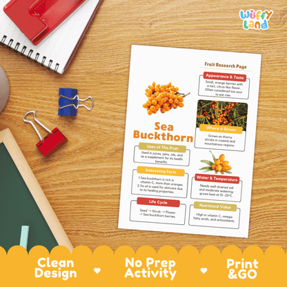 Sea Buckthorn Fruit Research Activity Worksheet Science Superfood Healthy Eating