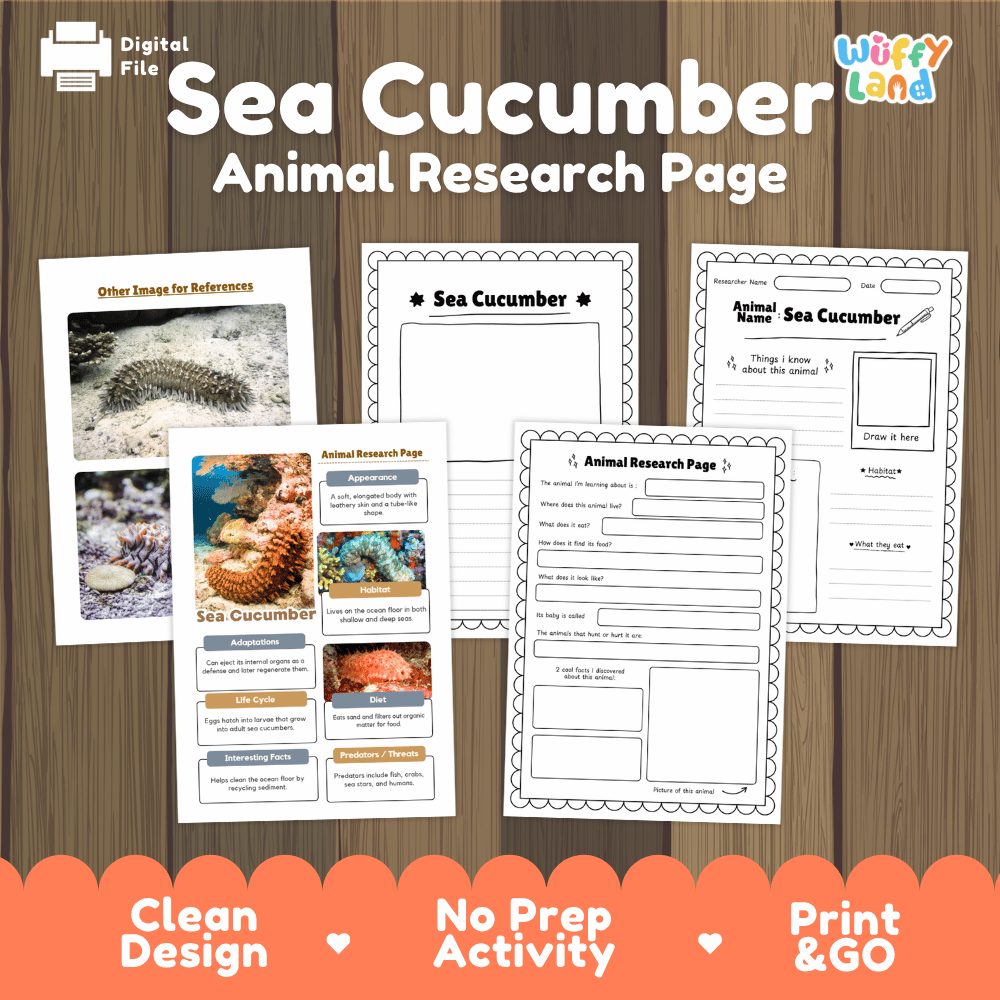 Sea Cucumber Animal Research Worksheets and Informational Fact Sheets