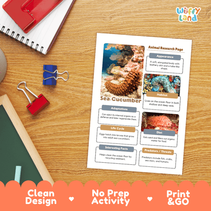 Sea Cucumber Animal Research Worksheets and Informational Fact Sheets