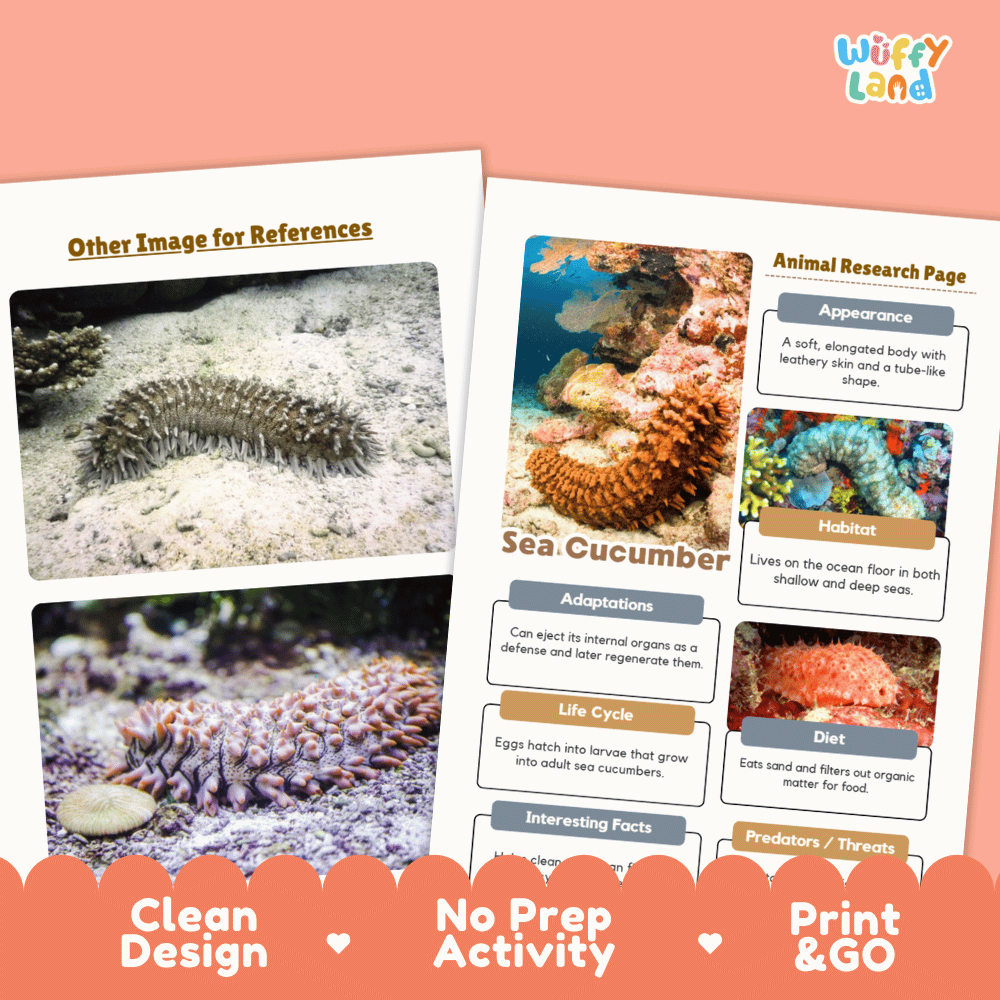 Sea Cucumber Animal Research Worksheets and Informational Fact Sheets