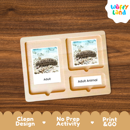 A wooden Montessori-style activity board with two labeled slots reading 'Adult' and 'Adult Animal,' each holding a small photo card of a caddis shell creature. The board is shown on a wood-grain background with a 'Wuffy Land' logo in the top right and a promotional banner at the bottom.