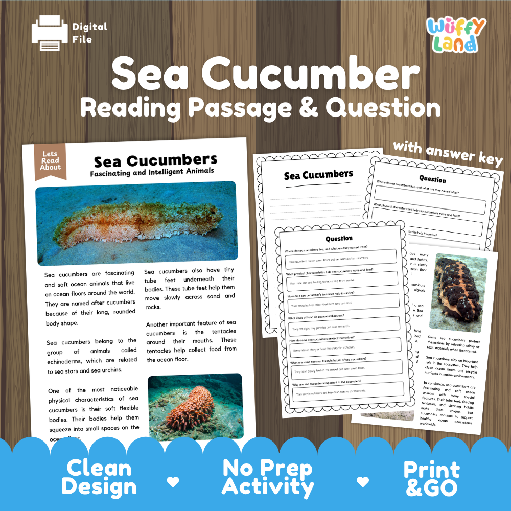 Sea Cucumber Reading Passage and Comprehension Questions Worksheets