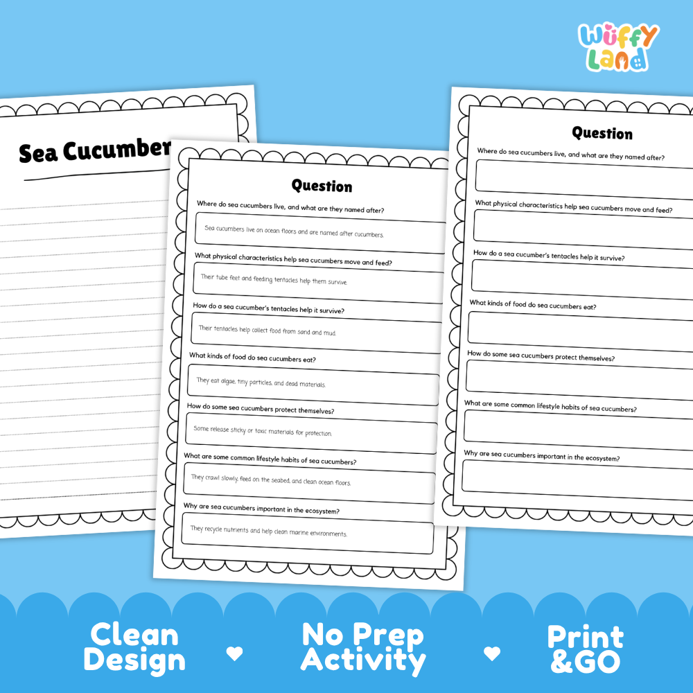 Sea Cucumber Reading Passage and Comprehension Questions Worksheets
