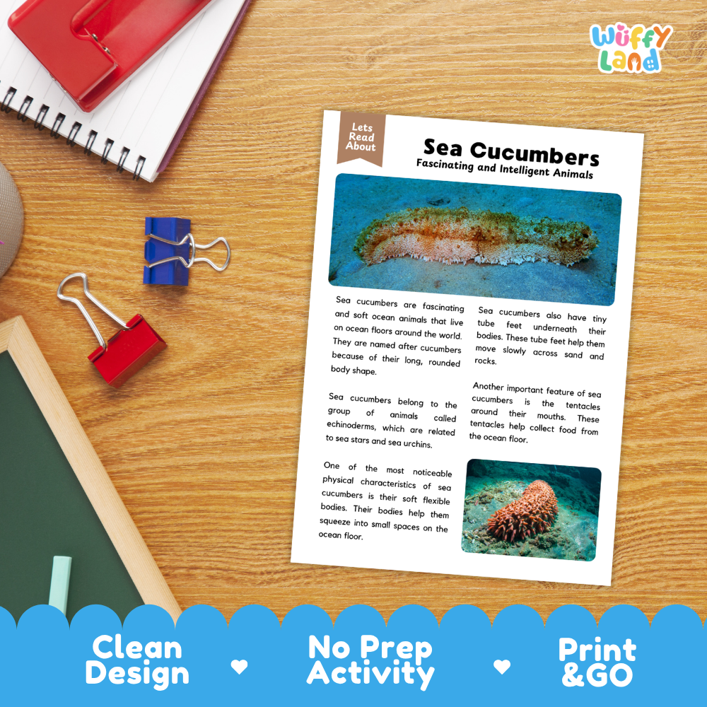 Sea Cucumber Reading Passage and Comprehension Questions Worksheets