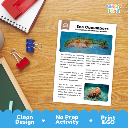 Sea Cucumber Reading Passage and Comprehension Questions Worksheets